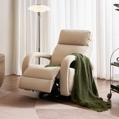 Living Room Armchair Single Chair